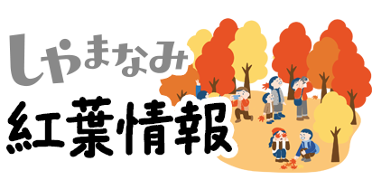 2025年の紅葉情報