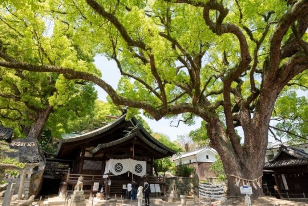 艮神社（うしとらじんじゃ）