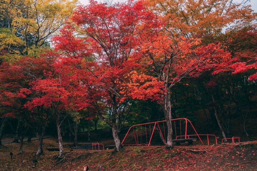 尾関山公園